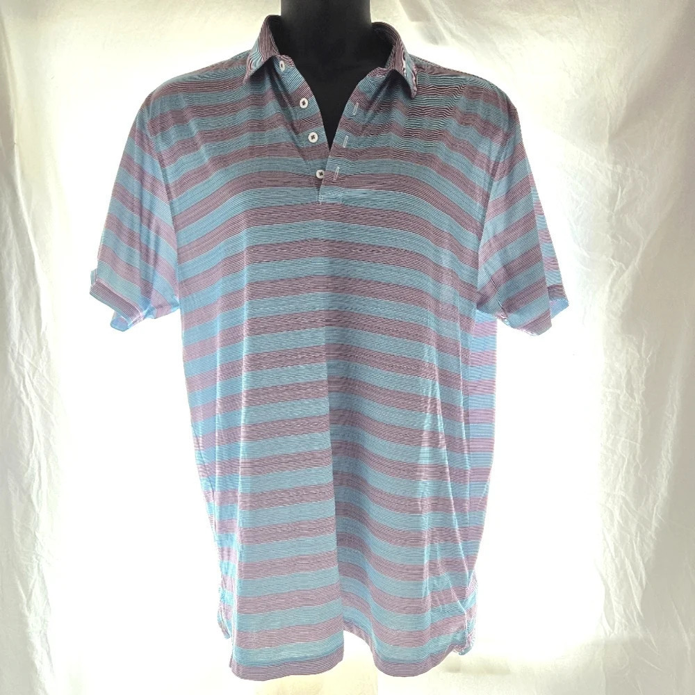 Striped Polo - Picture 2 of 6
